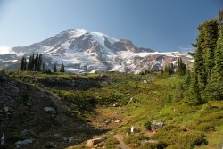 5J5A0331A.JPG 5J5A0331A.JPG