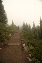 5J5A0198A.JPG 5J5A0198A.JPG