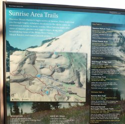 5J5A0366A.JPG 5J5A0366A.JPG