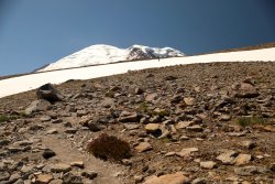 5J5A0408A.JPG 5J5A0408A.JPG