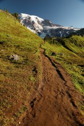 5J5A0444A.JPG 5J5A0444A.JPG