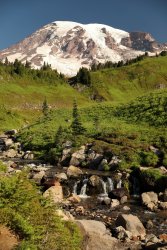 5J5A0459A.JPG 5J5A0459A.JPG