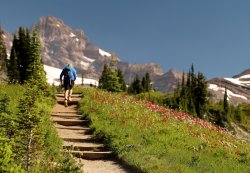 5J5A0492A1.JPG 5J5A0492A1.JPG