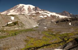 5J5A0497A.JPG 5J5A0497A.JPG