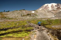 5J5A0518A.JPG 5J5A0518A.JPG