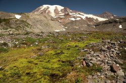 5J5A0521A.JPG 5J5A0521A.JPG