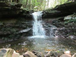 Loyalsock Trail 7.24-26.19 060.jpg