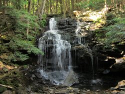 Loyalsock Trail 7.24-26.19 130.jpg