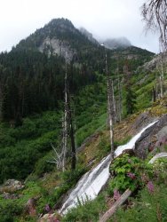 DSC01559.JPG DSC01559.JPG