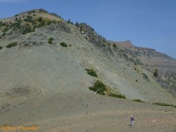 IMG_4277 P1020319.jpg