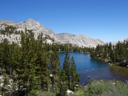 DSC02501.jpg DSC02501.jpg