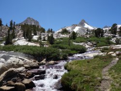 DSC02526.jpg DSC02526.jpg