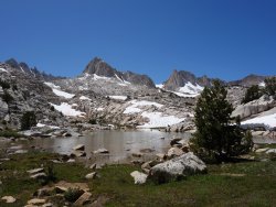 DSC02542.jpg DSC02542.jpg