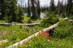 Uinta Lakes 8-20190018.jpg