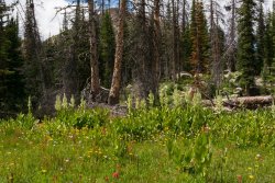 Uinta Lakes 8-20190052.jpg