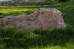 Uintas Lake Country Loop 8-20190157.jpg