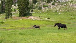 Flooded In Sunset Peak 8-20190020.jpg