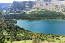 IMG_3790.jpg IMG_3790.jpg