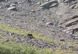 IMG_4040-2.jpg IMG_4040-2.jpg