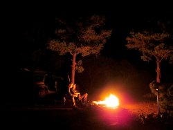 IMG_7259.JPG IMG_7259.JPG