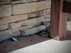 IMG_20190906_095330.jpg IMG_20190906_095330.jpg