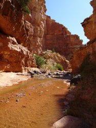 DSC00590.JPG DSC00590.JPG