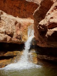 DSC00592.JPG DSC00592.JPG