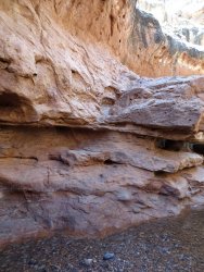 DSC00593.JPG DSC00593.JPG