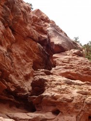 DSC00600.JPG DSC00600.JPG