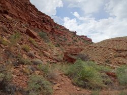 DSC00608.JPG DSC00608.JPG