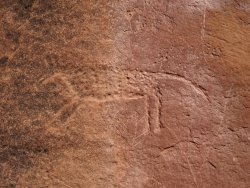 DSC00643.JPG DSC00643.JPG