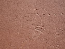 DSC00659.JPG DSC00659.JPG