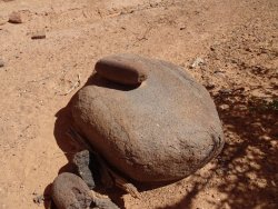 DSC00660.JPG DSC00660.JPG