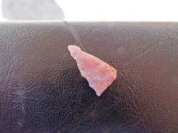 DSC00661.JPG DSC00661.JPG