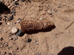 DSC00662.JPG DSC00662.JPG