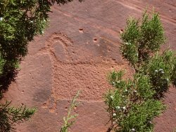 DSC00663.JPG DSC00663.JPG