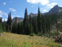 DSC01654.JPG DSC01654.JPG