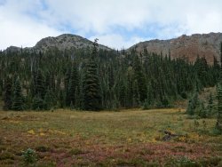 DSC01784.JPG DSC01784.JPG