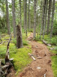 20190914_071716.jpg 20190914_071716.jpg