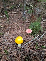 20190914_072514.jpg 20190914_072514.jpg