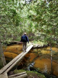 20190914_071932.jpg 20190914_071932.jpg