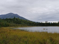 20190914_090403.jpg 20190914_090403.jpg