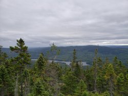 20190914_110758.jpg 20190914_110758.jpg