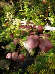 20190913_154424.jpg 20190913_154424.jpg