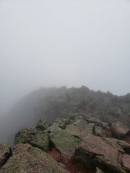 20190915_105830.jpg 20190915_105830.jpg