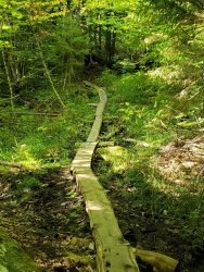 20190913_155417.jpg 20190913_155417.jpg