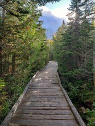 20190915_081458.jpg 20190915_081458.jpg