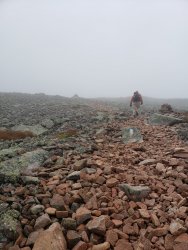 20190915_101237.jpg 20190915_101237.jpg