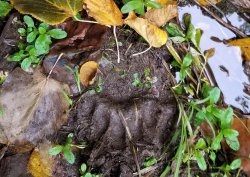 20190915_092100 (3) - Copy - Copy - Copy.jpg