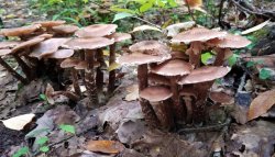 20190915_113200 - Copy - Copy.jpg